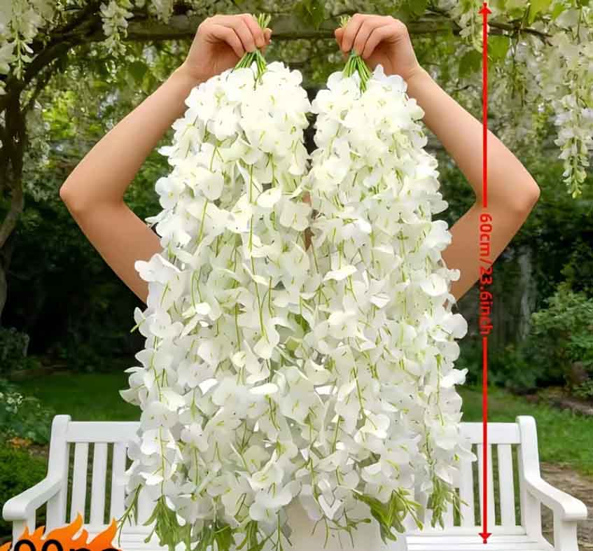 FZ1- White Wisteria