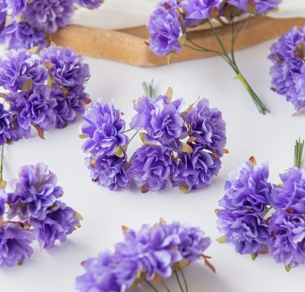 FC5 - Purple Carnations