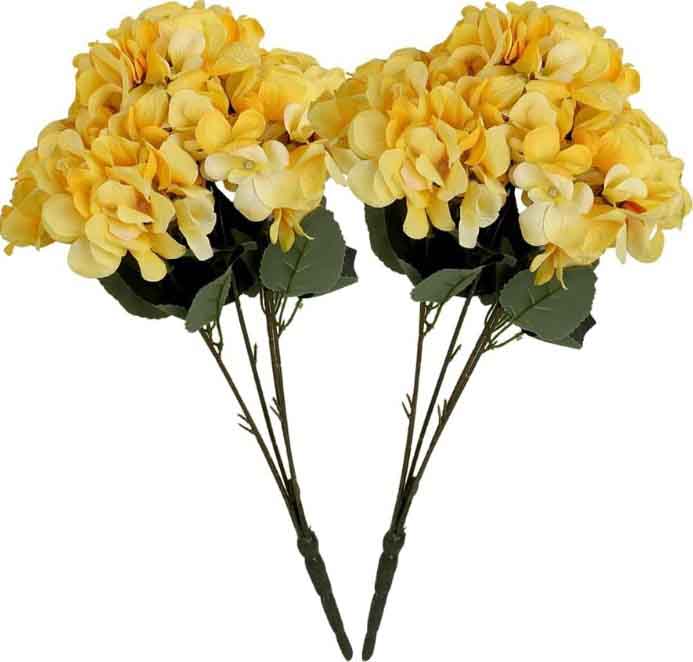 FY3 - Yellow Hydrangeas