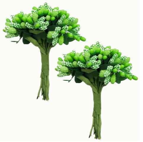 FB2 - Green Berry Stems