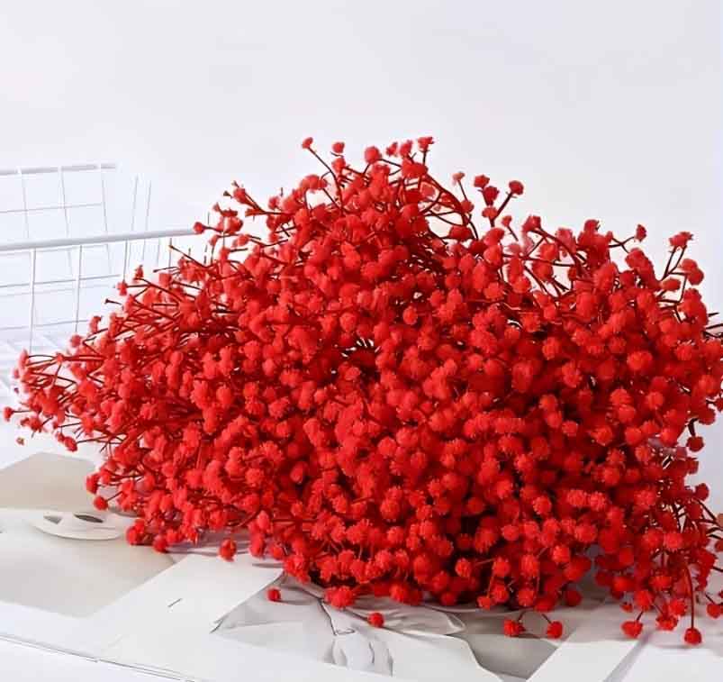 FX1 - Red Baby Breath
