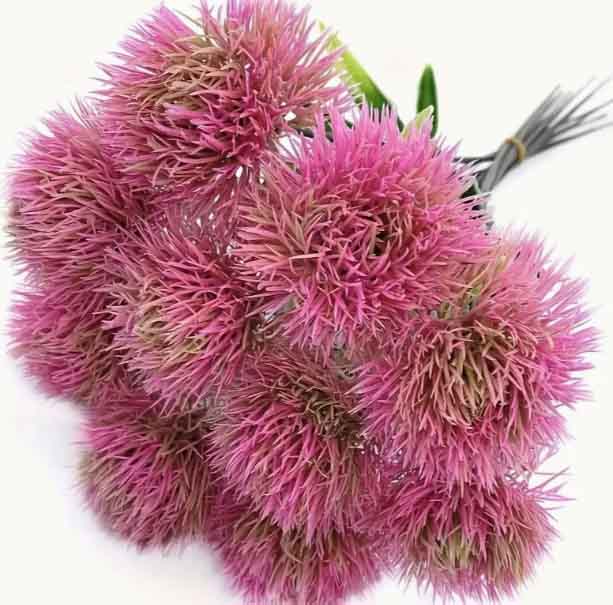 FV2 - Pink Dandelions