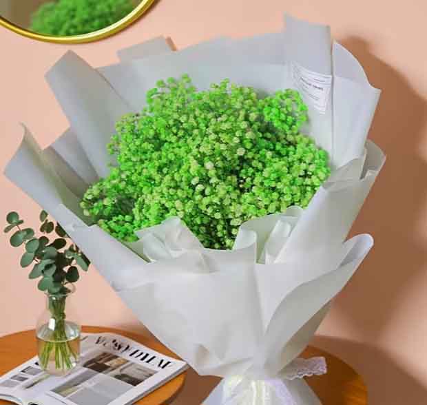 FT1 - Green Baby's Breath