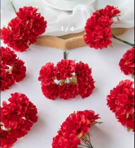 FC2 - Red Carnations