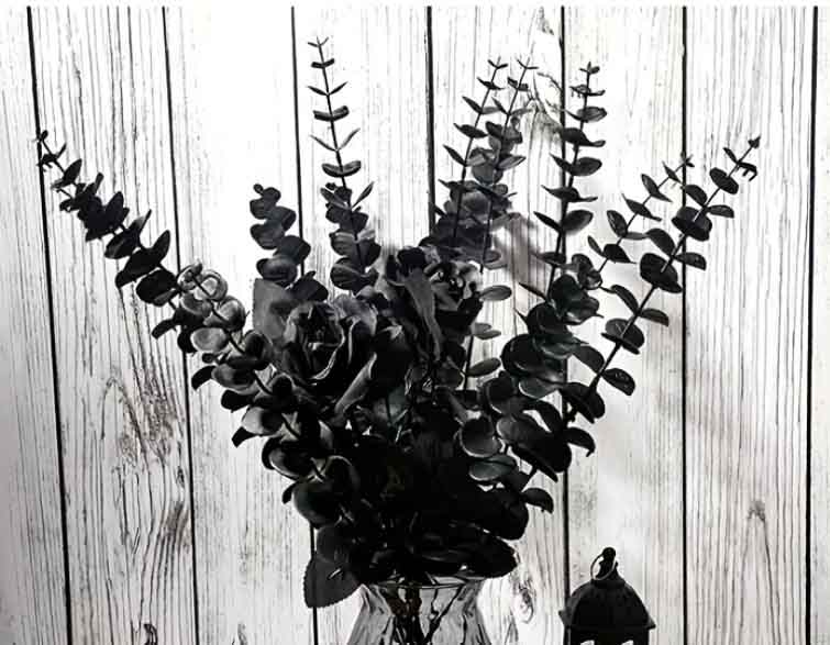 FZZ2 - Black Eucalyptus