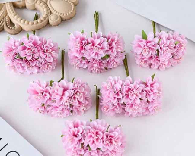 FC4 - Pink Carnations