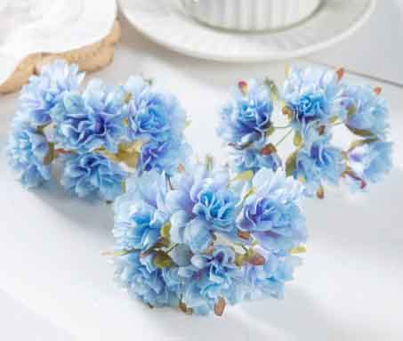 FC1 - Blue Carnations