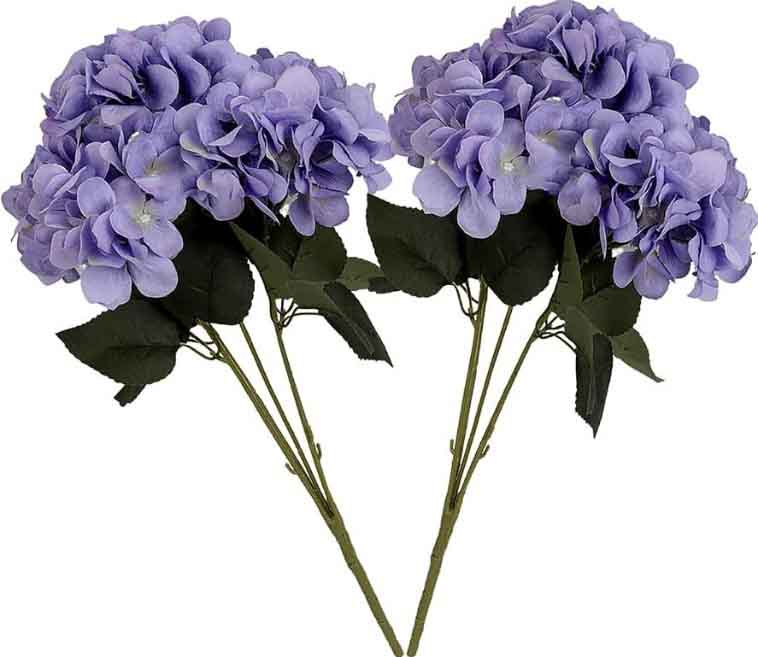 FW3 - Purple Hydrangeas
