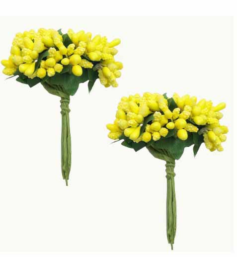 FB7 - Yellow Berry Stems