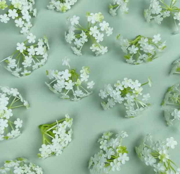 FC9 - White Spray