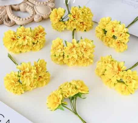 FC3 - Yellow Carnations