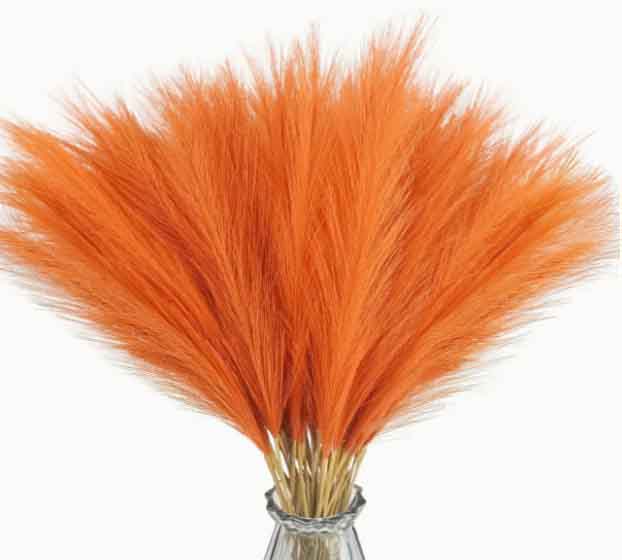 FU3 - Orange Reed