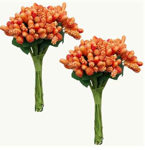 FB3 - Orange Berry Stems