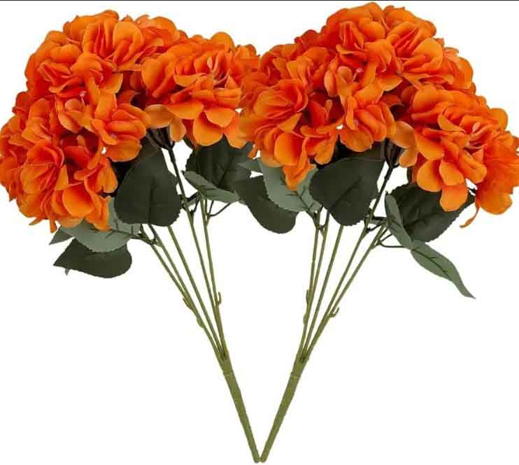 FU2 - Orange Hydrangeas