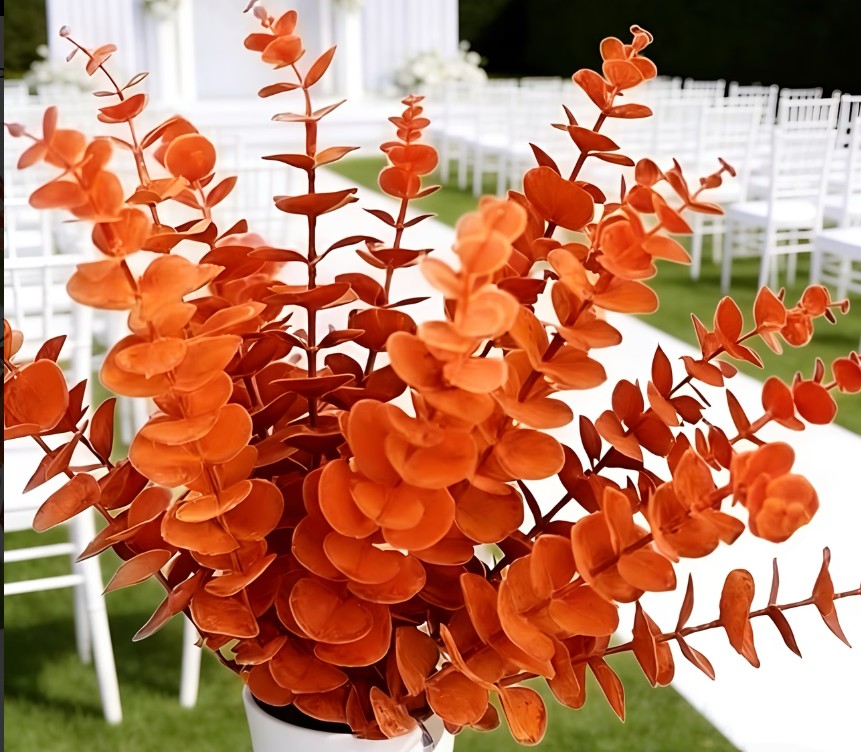 FU1 - Orange Eucalyptus